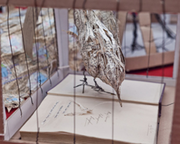 Paper bird sculptures free to fly at the Book Festival