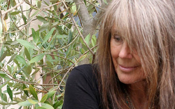 Vashti Bunyan: A Wayward Life of Music