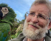 Jonathan Watts: Dom Phillips’ How to Save the Amazon