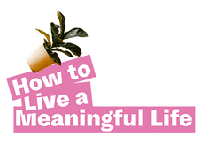 How to Live a Meaningful Life