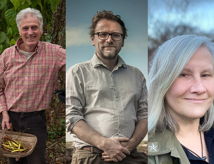 Adam Alexander, Andy Hamilton & Mo Wilde: Wild Solutions