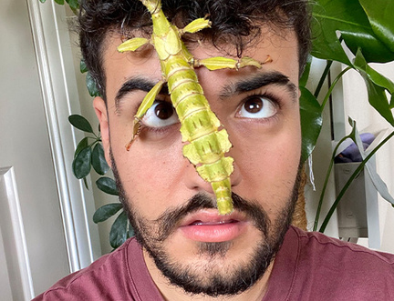Brilliant Little Beasties with Yussef Rafik