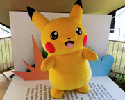 Meet Pikachu