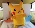 Meet Pikachu