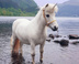 Meet Princess with The Unicorn Experience